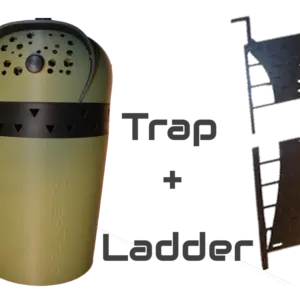 Mouse Trap