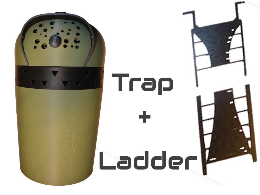 Mouse Trap