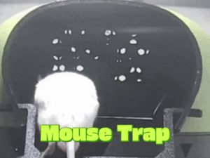 Mouse Trap